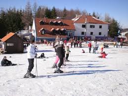 Besna Kobila